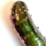 sillicone-pink-barbed-condom-6